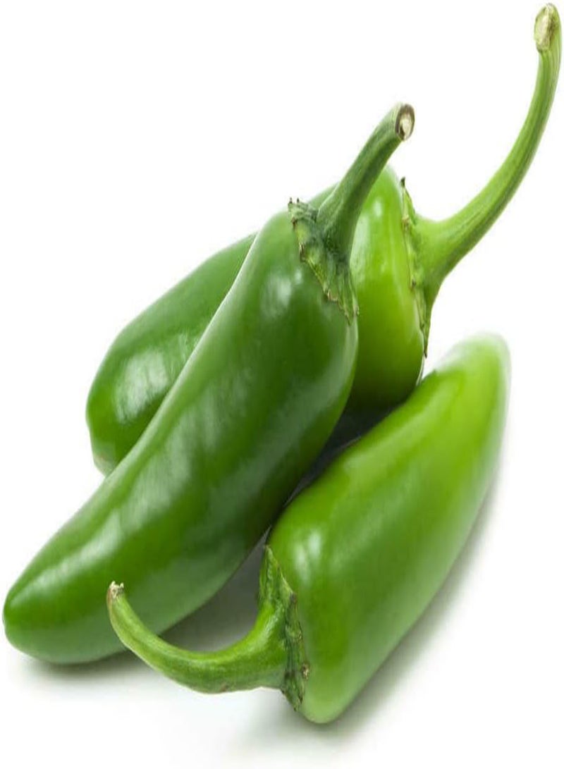 جي جوت بذور خضراوات الفلفل الأخضر الرصاصي - Capsicum annuum، سوبر هوت إنديا كاسا موريش، زراعة منزلية بواسطة شعلة ثقيلة، 30 بذرة - Image 1