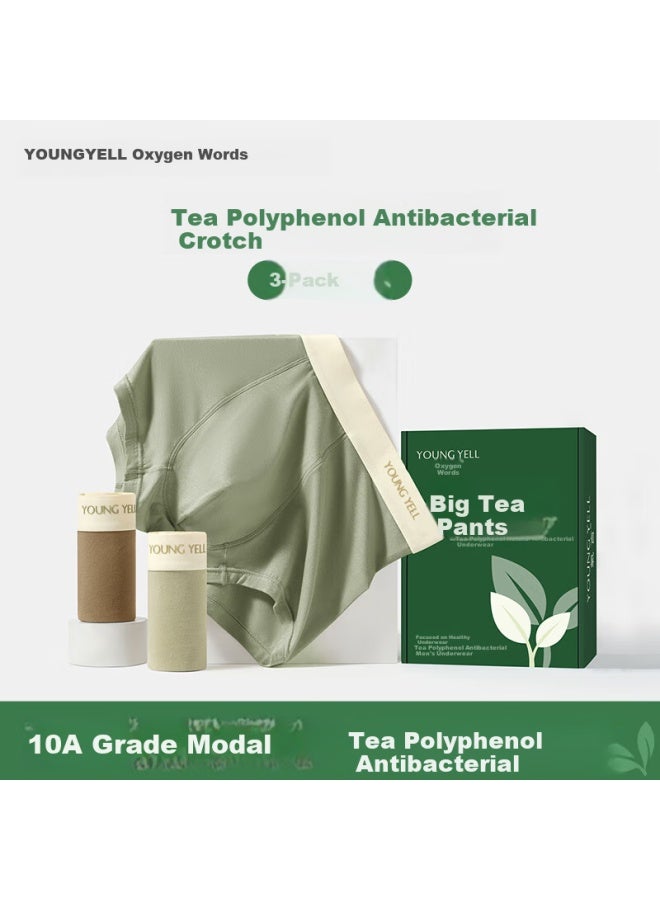 Youngyell Men's Underwear Plus Size Modal 10a Antibacterial Cotton Crotch Boxer Briefs Sports Underwear Gift Box 3-pack - Image 1