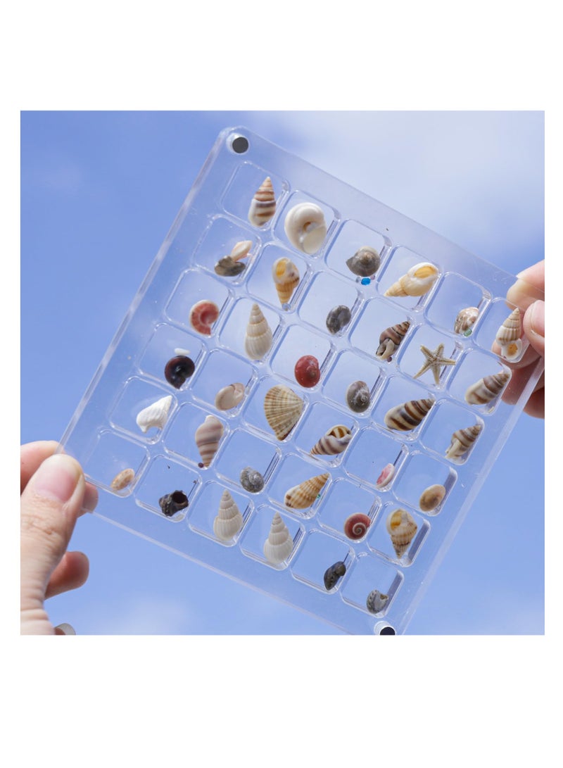 KASTWAVE Acrylic Magnetic Seashell Display Box, 36 Grids Square Display Box with Magnetic Closure, Organize and Showcase Seashells, Starfish, and Trinkets, Perfect for Jewelry, Beads, Nail Art - Image 1