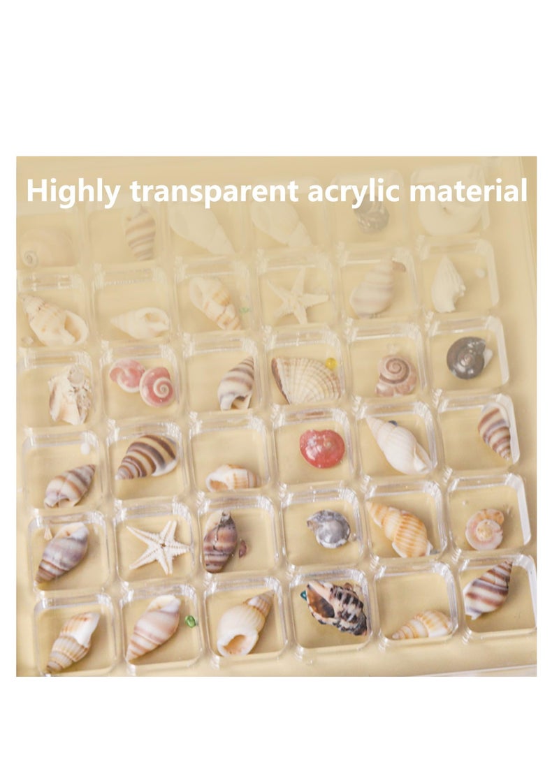KASTWAVE Acrylic Magnetic Seashell Display Box, 36 Grids Square Display Box with Magnetic Closure, Organize and Showcase Seashells, Starfish, and Trinkets, Perfect for Jewelry, Beads, Nail Art - Image 2