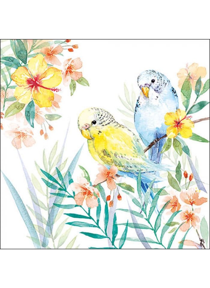 DCAD Crafts - DCAD Decoupage Tissue Paper Napkin Bird Tissue Budgies couple Pack of 20 Same Design Size 33 cm X 33 cm - Image 1