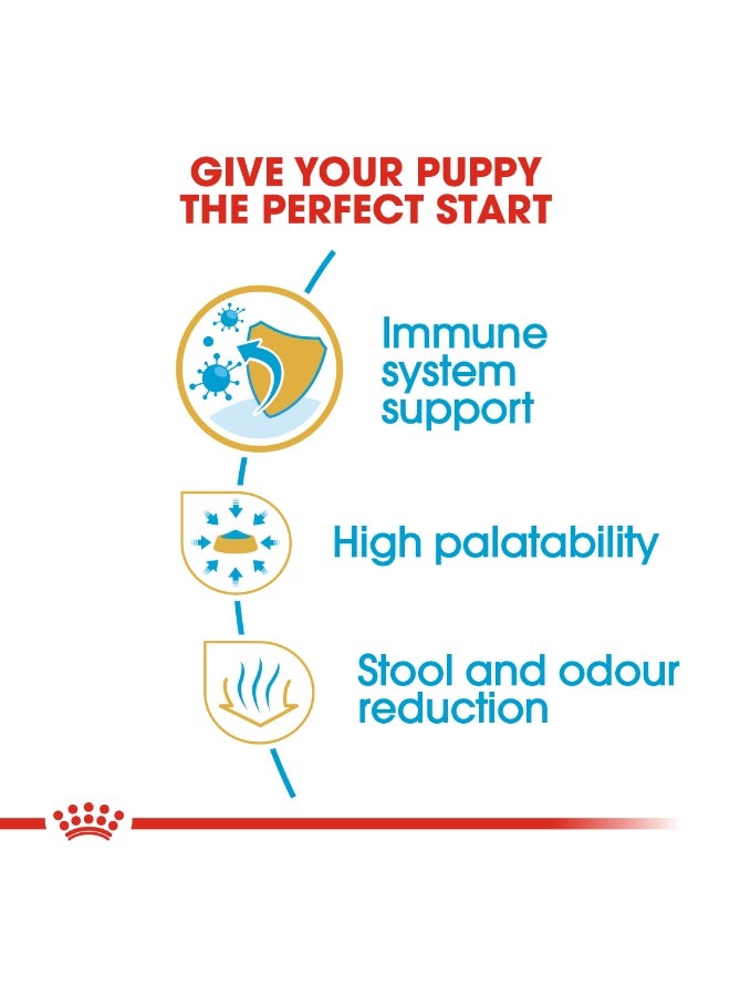 ROYAL CANIN تغذية صحة السلالة جرو تشيهواهوا 1.5 كجم - Image 3