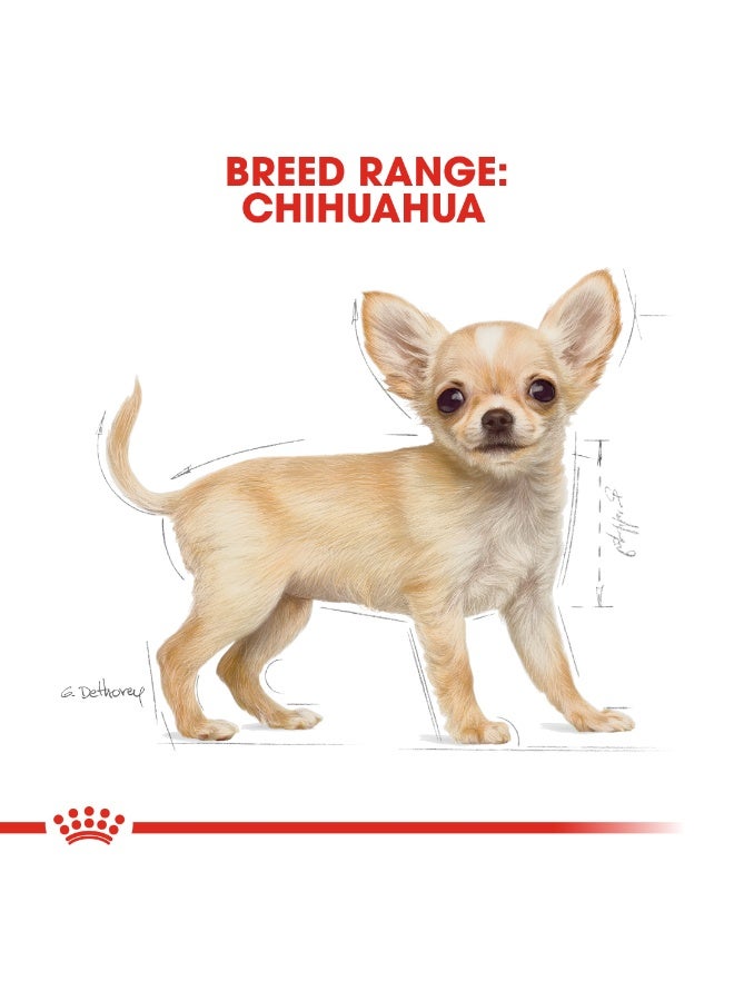 ROYAL CANIN تغذية صحة السلالة جرو تشيهواهوا 1.5 كجم - Image 4