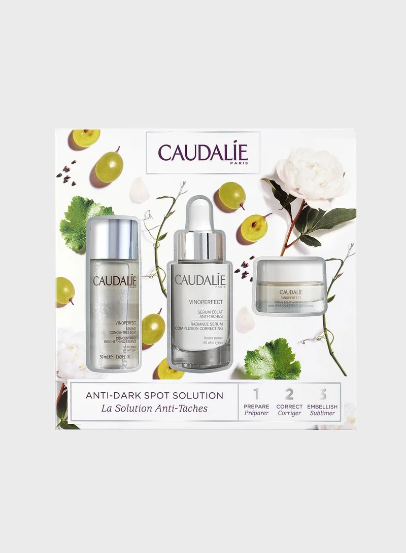 CAUDALIE Vino Perfect Serum + Dark Correcting Moisturizer
