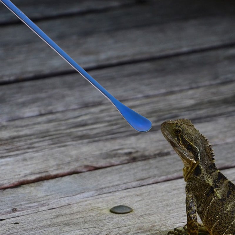 2pcs Reptile Food Handle Lizard Feeding Tool Reptile Fruit Mixing - Image 2