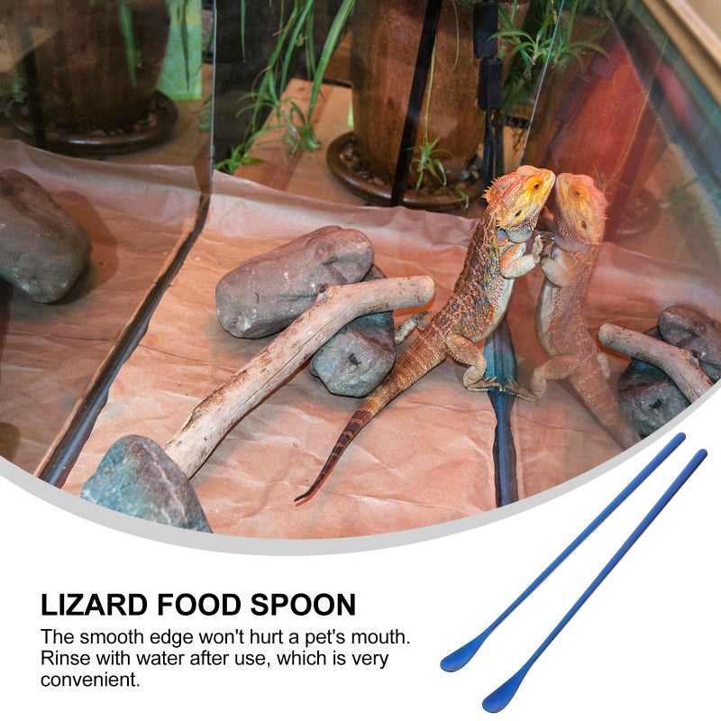 2pcs Reptile Food Handle Lizard Feeding Tool Reptile Fruit Mixing - Image 4