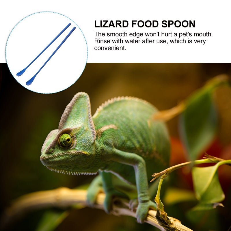 2pcs Reptile Food Handle Lizard Feeding Tool Reptile Fruit Mixing - Image 5