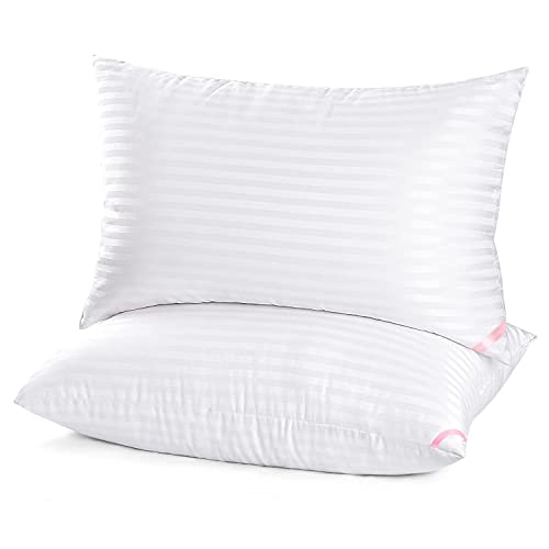 EIUE Hotel Collection Bed Pillows for Sleeping 2 Pack Queen SizePillows for Side and Back SleepersSuper Soft Down Alternative Microfiber Filled Pillows20 x 30 Inches