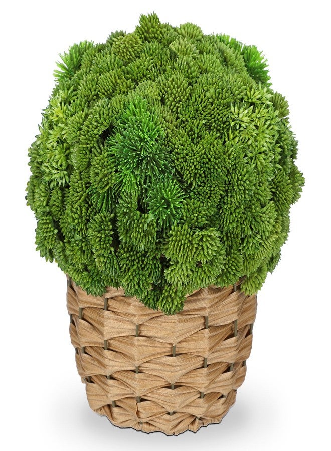 Briful Succulent Plants Artificial Large Fake Succulent Arrangement with Rattan Basket Planter Faux Plants Indoor for Home Office Room Table Centerpiece Shelf Decor - Image 1