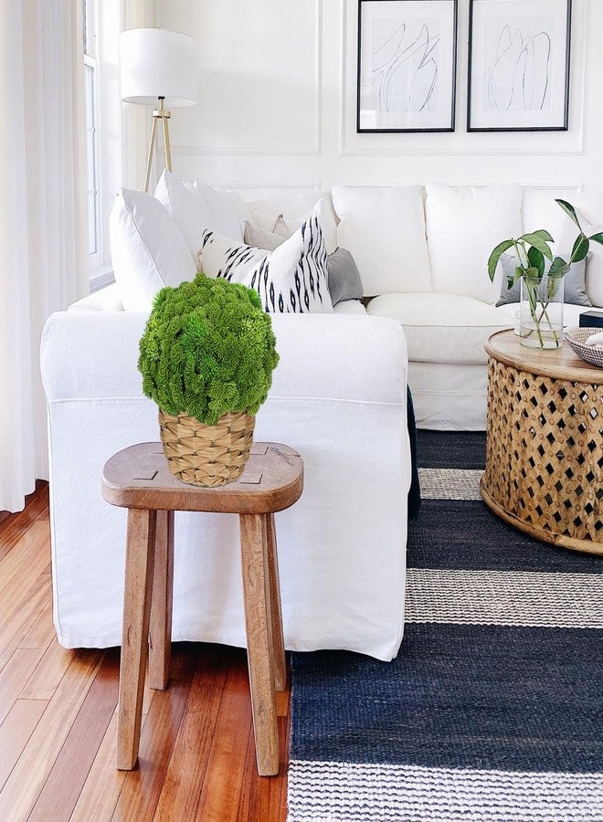 Briful Succulent Plants Artificial Large Fake Succulent Arrangement with Rattan Basket Planter Faux Plants Indoor for Home Office Room Table Centerpiece Shelf Decor - Image 5