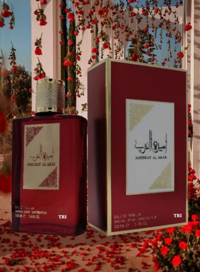 تي أر آي 12 قطع عطر أميرة العرب 100مل - Image 2