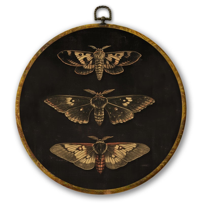 Mcehtle Vintage Butterfly Wall Art Decor, Dark Moody Cottagecore Moth Butterfly Framed Canvas Prints 10x10, Neutral Farmhouse Round Wall Hanging Artwork Decorations for Bedroom Living Room - Image 1