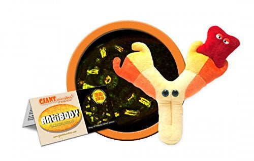 جاينت مايكروبز Giantmicrobes مضاد للأجسام المضادة - تعليمية Get Well Gift Makes Make Science Command تشمل المستضدات القابلة للإزالة وبطاقة المعلومات نظام الهدايا الطبية والبيولوجيا الطبية وعلم الأحياء - Image 1