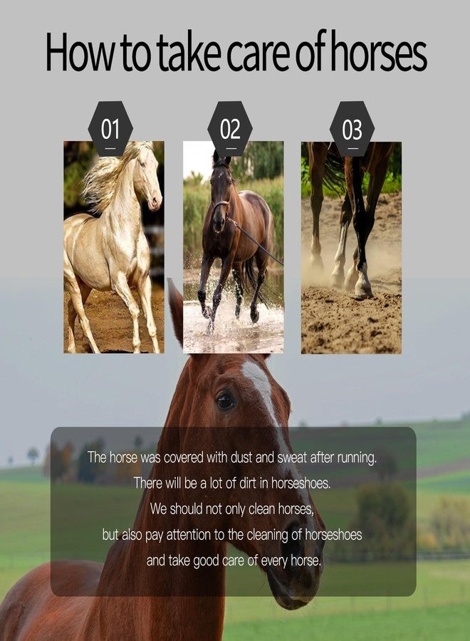  الرسم البياني أعواد تنظيف الخيول من هيستوتري، أعواد تنظيف الخيول مع فرشاة، أداة احترافية للعناية بالخيول، مستلزمات الخيول 2 في 1 - Image 4