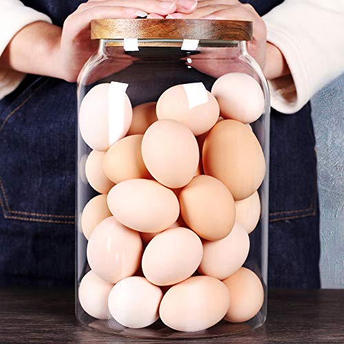 SAIOOL Egg Jar,kitchen canister， 1 Gallon Large Glass Food Storage Jars with Airtight Lid, Clear - Image 1