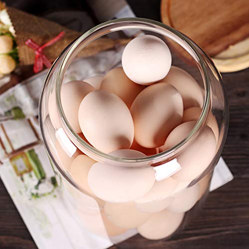 SAIOOL Egg Jar,kitchen canister， 1 Gallon Large Glass Food Storage Jars with Airtight Lid, Clear - Image 5