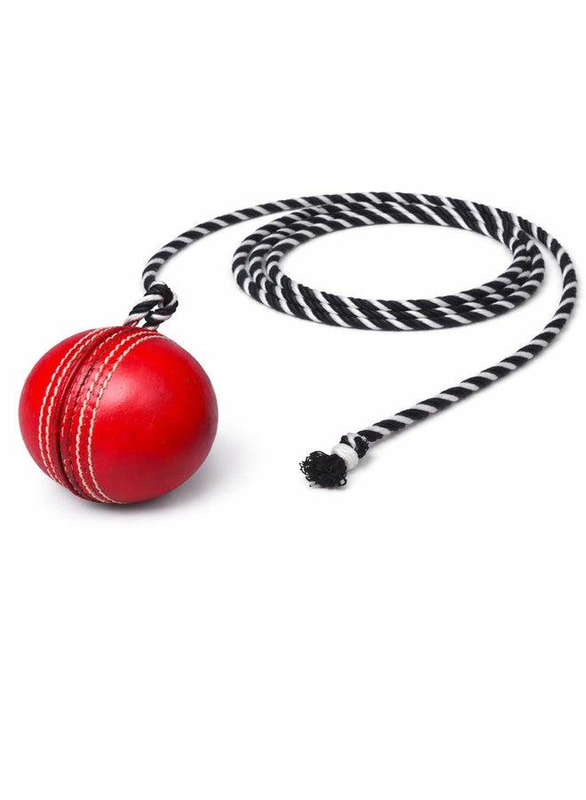 RUNHUNT Cricket Practice Hanging Ball with Rope, Red Leather Hanging Training Ball, 1 Meter Rope, Hand-Eye Coordination Aid for Batting Skills - Image 1