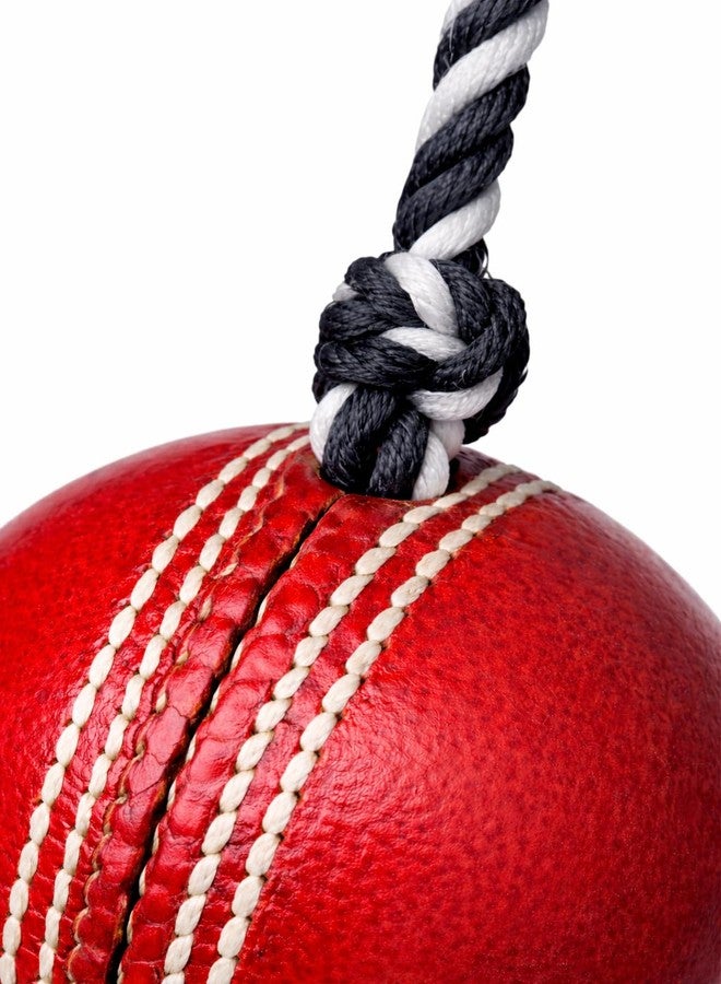 RUNHUNT Cricket Practice Hanging Ball with Rope, Red Leather Hanging Training Ball, 1 Meter Rope, Hand-Eye Coordination Aid for Batting Skills - Image 3