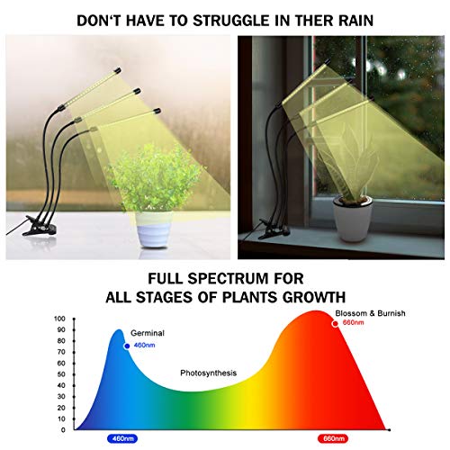 bseah Grow Light Plant Lights for Indoor Plants, Full Spectrum Led Growing Lamp with 3/9/12H Timer, Auto ON & Off, 10 Dimmable Lightness Clip-On Desk - Image 3