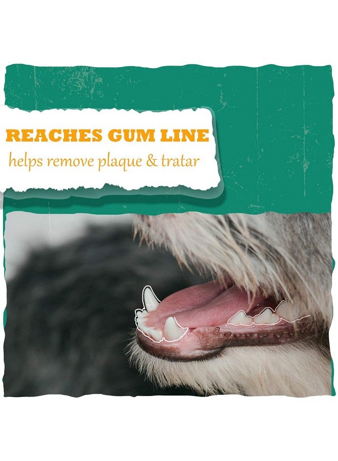 لعبة مضغ للكلاب على شكل دمبل لجميع أحجام الكلاب الصغيرة والمتوسطة والكبيرة والبالغة والحيوانات الأليفة - Image 2