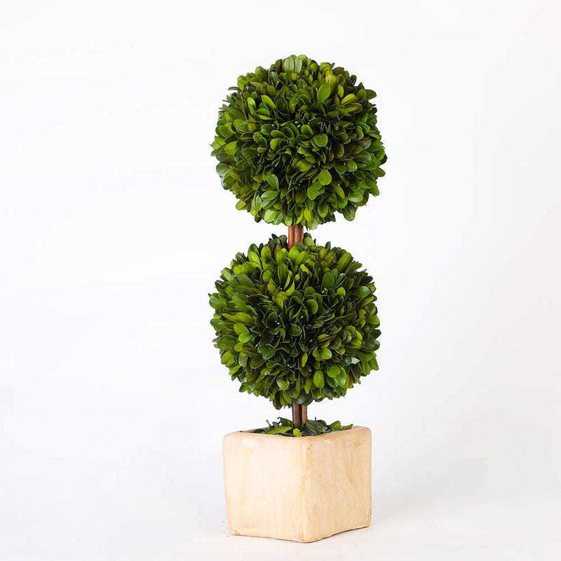 BOXWOOD WORLD BOXWOOD WORLD Preserved Boxwood Topiary Green Plant for Home Coffee bar Decor Dual Ball Shape 16 inch Tall Spring Green Plant Boxwood Double Ball Topiary 16 INCH 