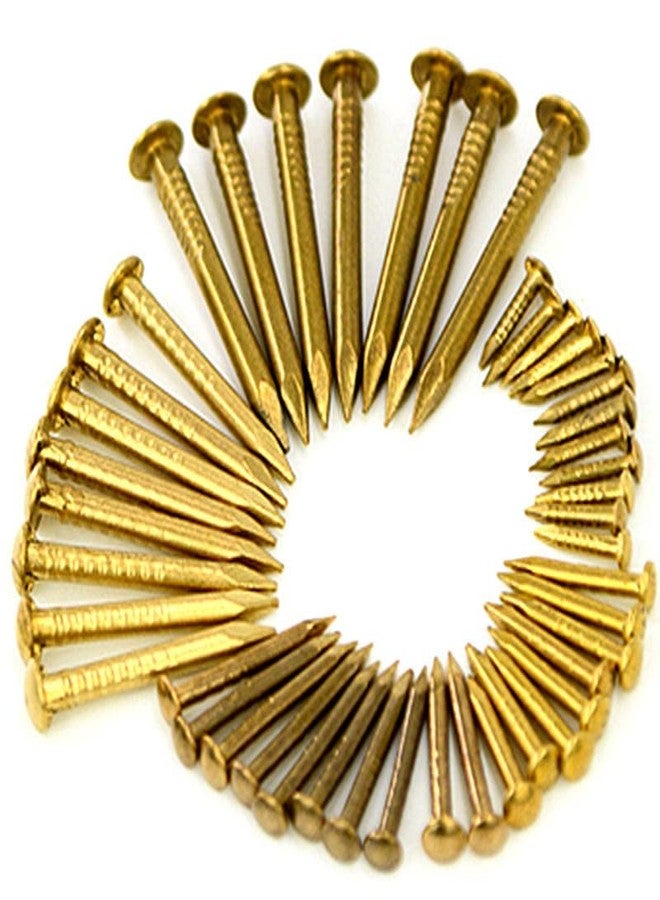 RELY+ Rely®⇒VP INDUSTRIES (Pcs -200) 10 mm Small Brass Nails for Wooden Nail Tiny Antique DIY Decorative Boxes Accessories Mini Nail Screw for Wood Decorative, table decor, andicrafts & furniture - Image 1