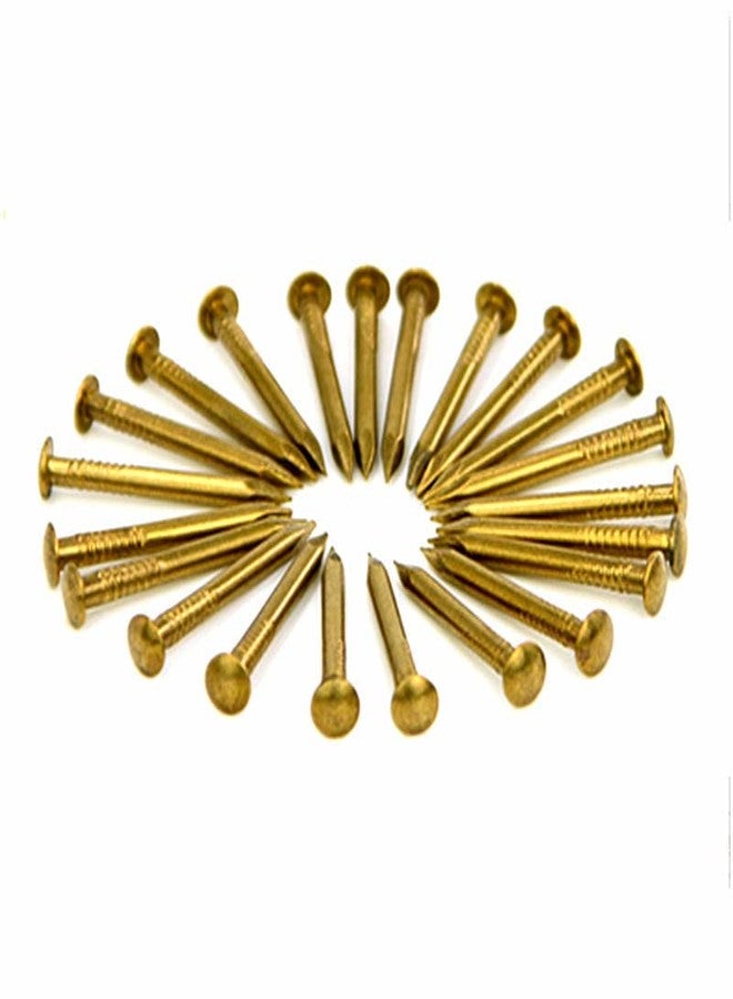 RELY+ Rely®⇒VP INDUSTRIES (Pcs -200) 10 mm Small Brass Nails for Wooden Nail Tiny Antique DIY Decorative Boxes Accessories Mini Nail Screw for Wood Decorative, table decor, andicrafts & furniture - Image 3