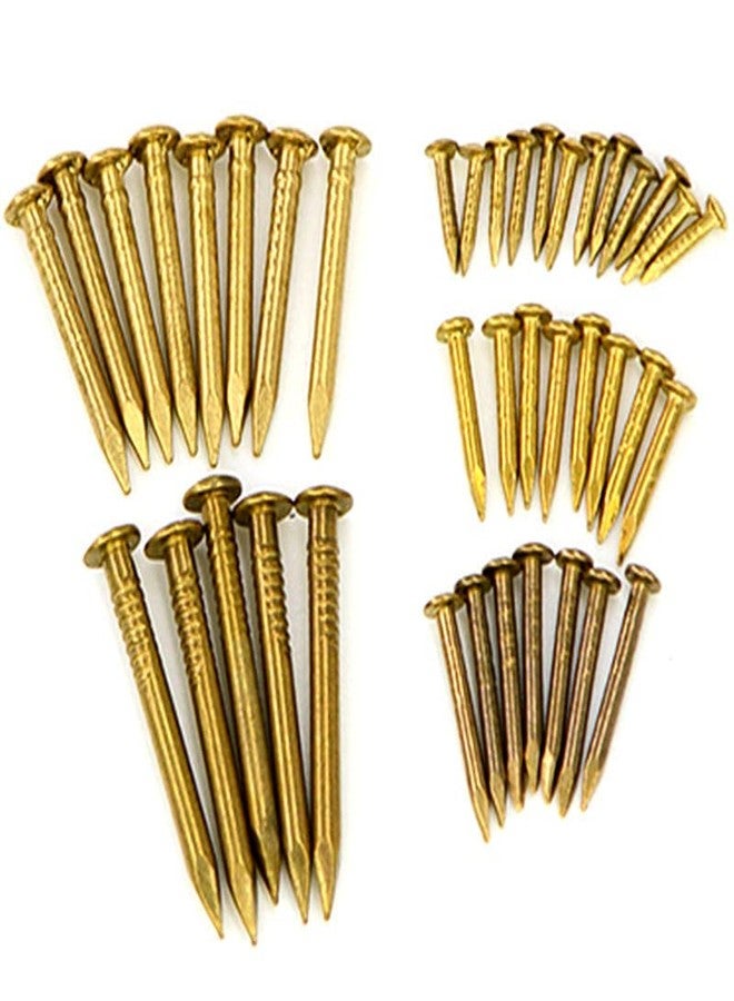 RELY+ Rely®⇒VP INDUSTRIES (Pcs -200) 10 mm Small Brass Nails for Wooden Nail Tiny Antique DIY Decorative Boxes Accessories Mini Nail Screw for Wood Decorative, table decor, andicrafts & furniture - Image 2