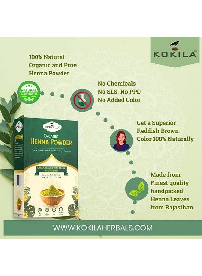 Kokila Organic Henna Powder For Natural Hair Color, 100% Natural Henna Leaves Powder 1Box (2 Pouches - 100Gm Each) 200Gm - Image 5