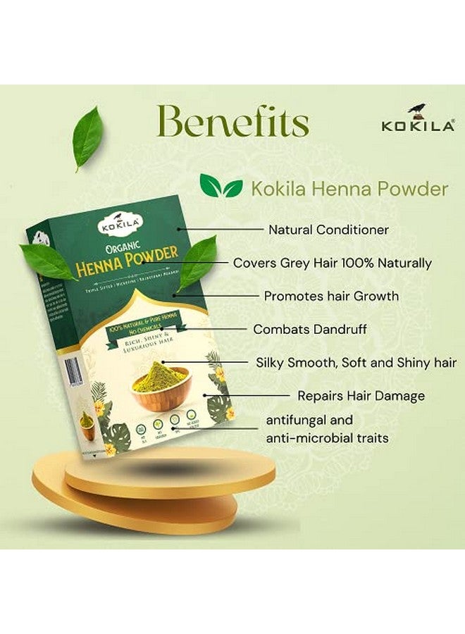 Kokila Organic Henna Powder For Natural Hair Color, 100% Natural Henna Leaves Powder 1Box (2 Pouches - 100Gm Each) 200Gm - Image 4