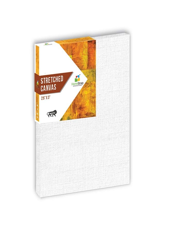 Homestrap 10 Oz Primed Cotton Pre Stretched Canvas with Wooden Frame 2.5InchX3Inch (Pack of 10), Small Size - Image 2