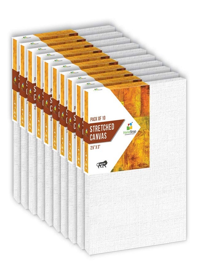 Homestrap 10 Oz Primed Cotton Pre Stretched Canvas with Wooden Frame 2.5InchX3Inch (Pack of 10), Small Size - Image 1