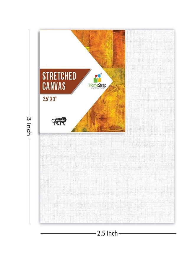 Homestrap 10 Oz Primed Cotton Pre Stretched Canvas with Wooden Frame 2.5InchX3Inch (Pack of 10), Small Size - Image 4