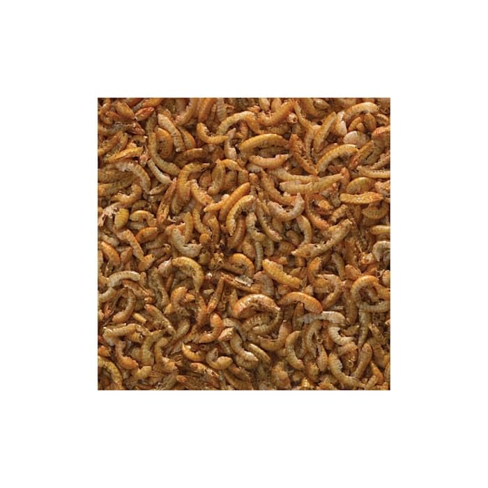 Tetra BabyShrimp 0.35 Ounce, Natural Shrimp Treat For Aquarium Fish (033197) - Image 5