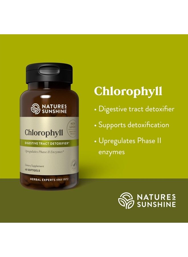 Nature's Sunshine Chlorophyll, 60 Softgel Capsules | Helps Support the Body's Blood-Cleansing Functions and Strengthens the Immune and Intestinal Systems  - Image 4