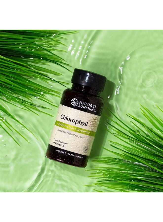 Nature's Sunshine Chlorophyll, 60 Softgel Capsules | Helps Support the Body's Blood-Cleansing Functions and Strengthens the Immune and Intestinal Systems  - Image 2