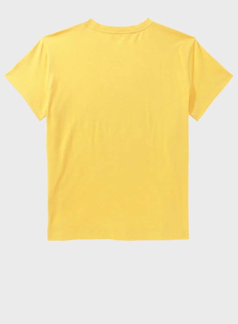 American Eagle Crew Neck Boyfriend T-Shirt