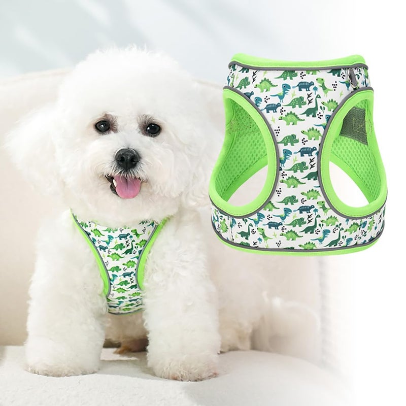 Flymind Step in Dog Harness and Leash Set, Flower Adjustable Easy Walk Puppy Harnesses, Soft Mesh Pet Vest Harness Small Size Dog Adjustable No Pull Dog Harness for Small Dogs and Cats(Dinosaur1, XXS) - Image 3