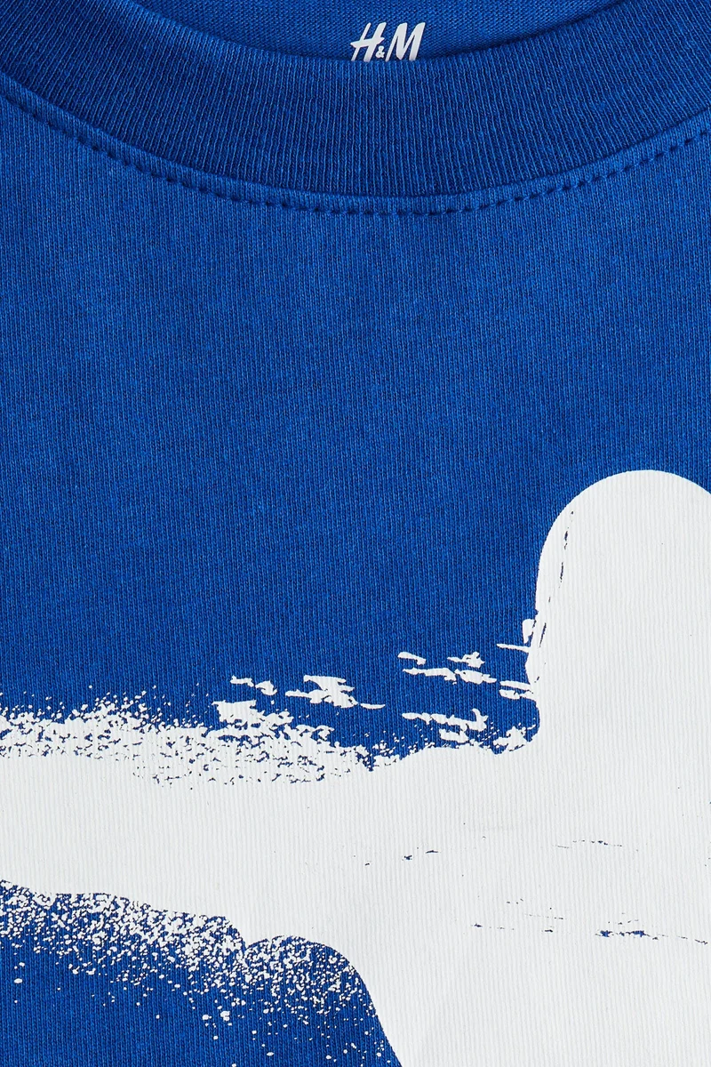 اتش اند ام Printed cotton T-shirt