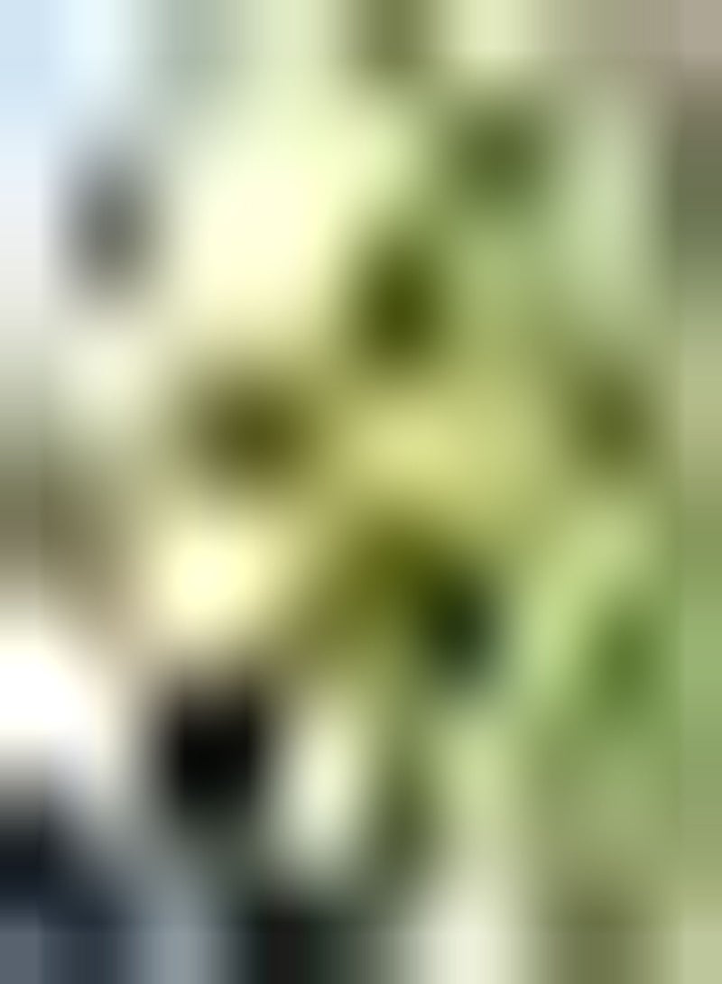 GGOOT 200 Tomatensamen schaffen eine einzigartige künstlerische Landschaft Bringen Sie Farbe in Ihren Garten Ökologisch effektiv Weit verbreitet damit die ganze Familie sie genießen kann - Image 1