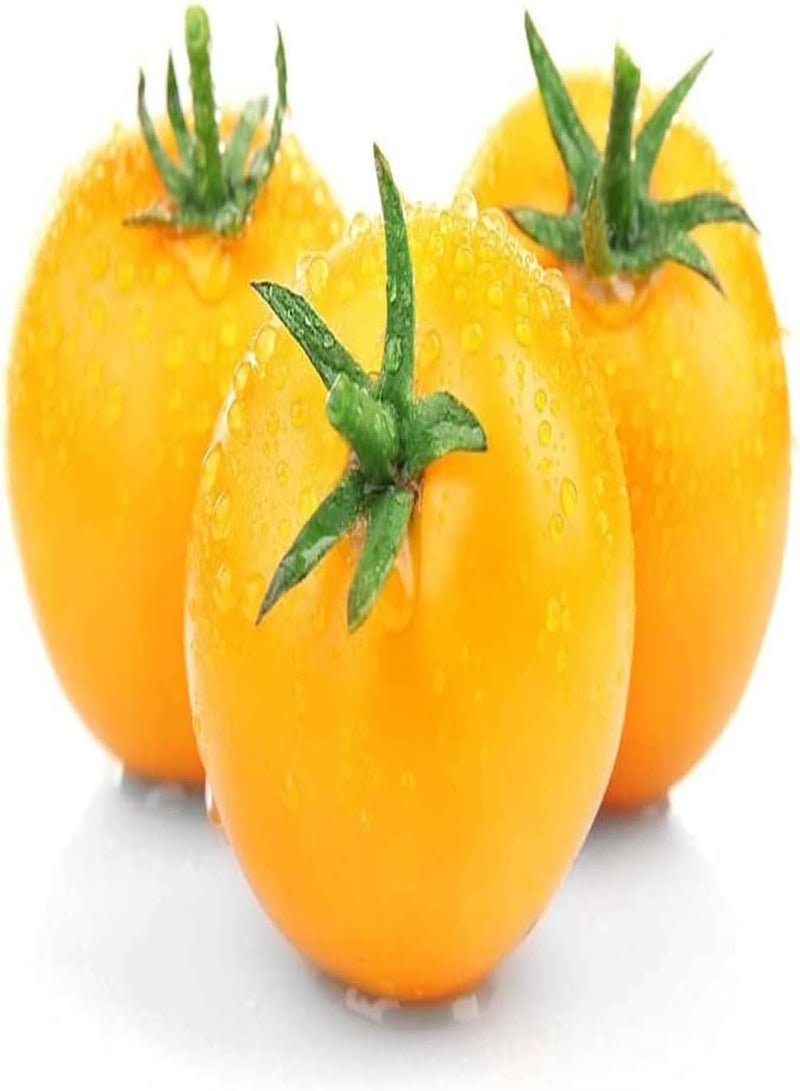 GGOOT 200 Tomatensamen schaffen eine einzigartige künstlerische Landschaft Bringen Sie Farbe in Ihren Garten Ökologisch effektiv Weit verbreitet damit die ganze Familie sie genießen kann - Image 3