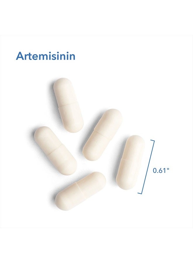 Allergy Research Group Artemisinin Supplement - GI Tract Support, Pure Qinghaosu from Artemisia annua, Thujone-Free, Hypoallergenic, Vegetarian Capsules - 90 Count - Image 5