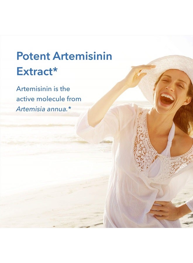 Allergy Research Group Artemisinin Supplement - GI Tract Support, Pure Qinghaosu from Artemisia annua, Thujone-Free, Hypoallergenic, Vegetarian Capsules - 90 Count - Image 3