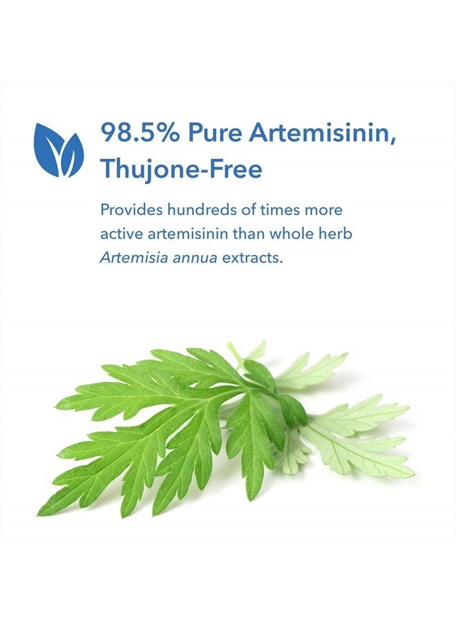 Allergy Research Group Artemisinin Supplement - GI Tract Support, Pure Qinghaosu from Artemisia annua, Thujone-Free, Hypoallergenic, Vegetarian Capsules - 90 Count - Image 4