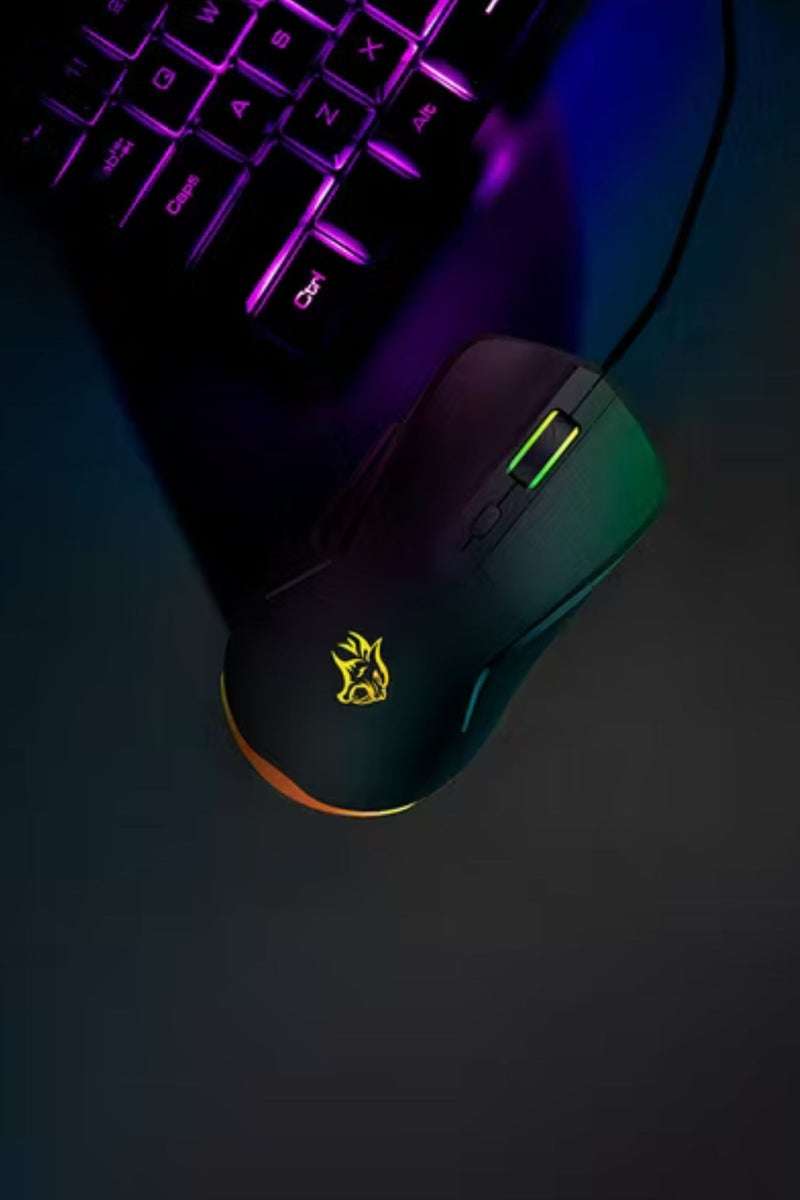 بورودو ماوس ألعاب سلكي مع إضاءة RGB، 7200 نقطة في البوصة، 3 ملايين نقرة، عمر افتراضي للمفتاح، 6 أزرار قابلة للبرمجة، كابل مضفر بطول 1.5 متر، معدل استطلاع 125 هرتز، شريحة 725F فورية - أسود - Image 3