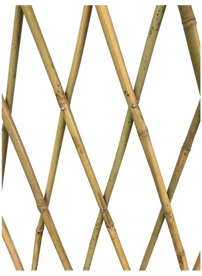 Egardenkart Trellis Bamboo Trellis Plant Climbers  - Image 3