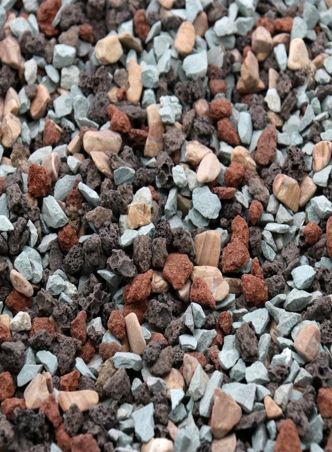 Premium Pebbles Volcanic Rock for Plants. Black Lava Rock. 1/5 Inch - 2 lbs for Potting Soil, Succulents, Pots, Plants, Indoor, Crafting, Vase Fillers (Mini (0.2 Inch), Horticultural - Black Lava, 2) - Image 1