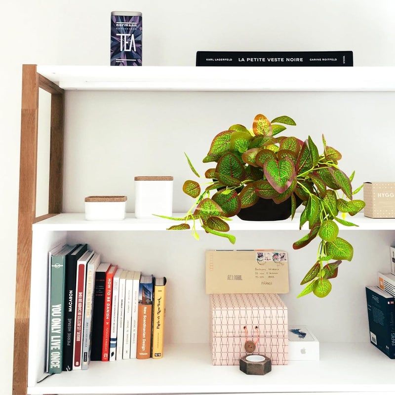 fancymart Elegant Artificial Plant Falling Leaves with Pot for Home & Office Decor – Versatile Potted Plant for Tabletop, Shelves, or Hanging Display - Image 5