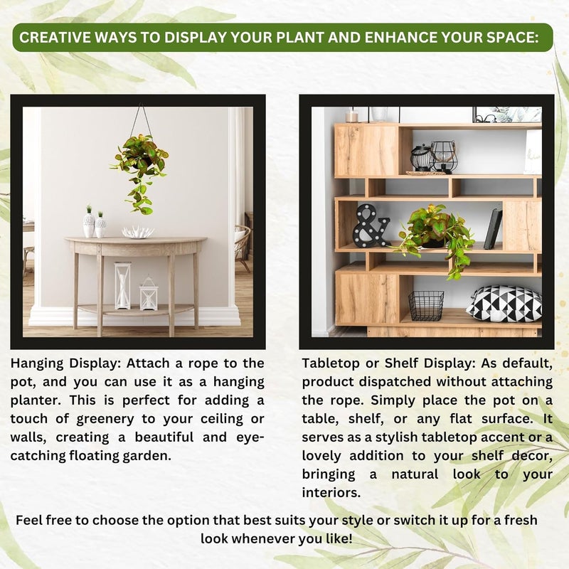 fancymart Elegant Artificial Plant Falling Leaves with Pot for Home & Office Decor – Versatile Potted Plant for Tabletop, Shelves, or Hanging Display - Image 4