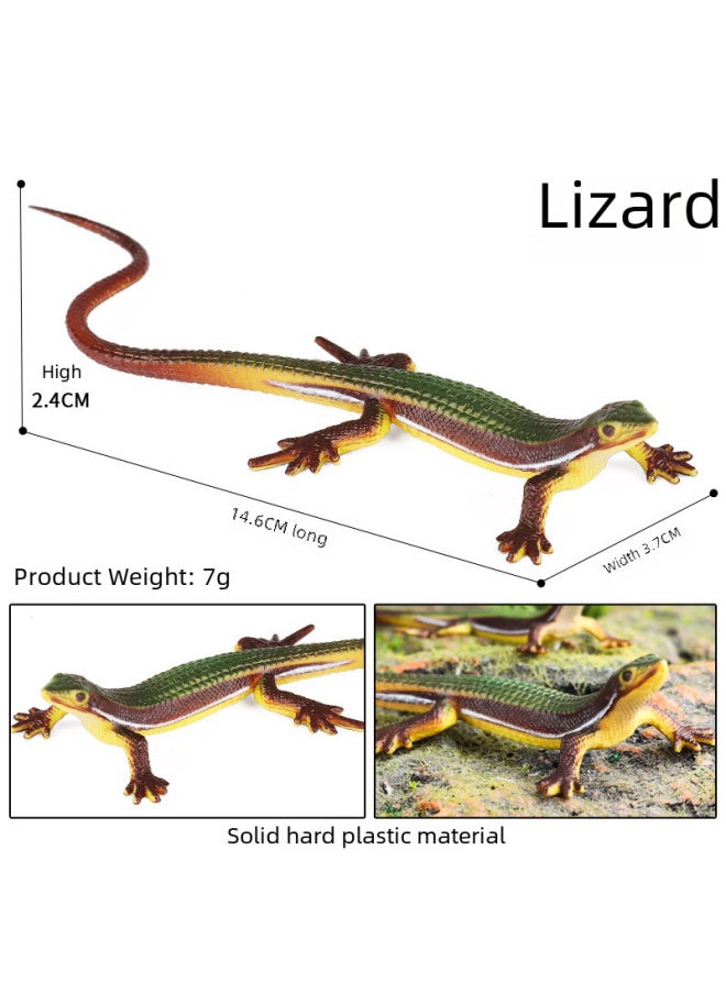 Generic - Children's Montessori Teaching Aids Reptile Simulation Solid Lizard Model Monitor Lizard Toy Amphibian Static Ornaments-Color:Ox-1511 Green Four-legged Snake - Image 1